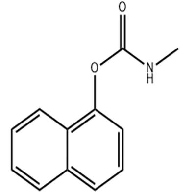 63-25-2 Carbaryl